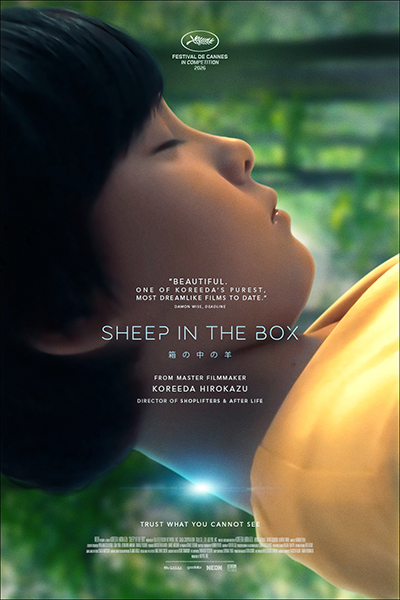 Sheep in the Box - Poster